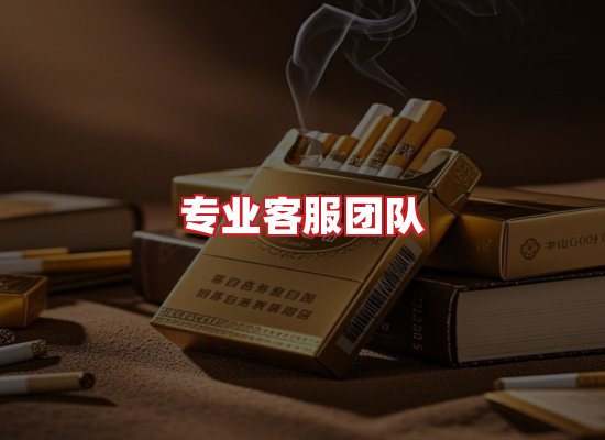专业团队